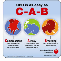 cab_new_cpr2010-10.jpg